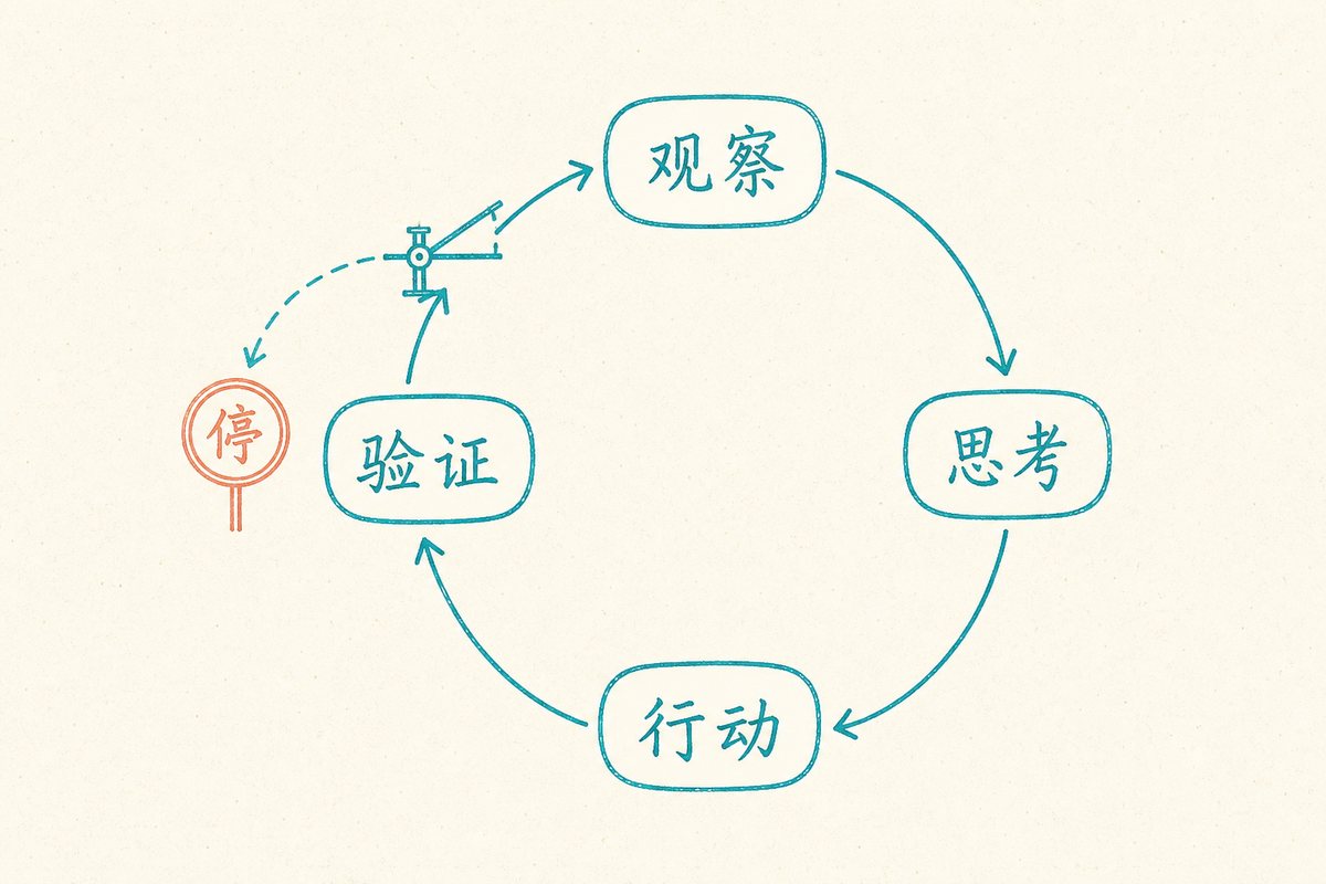 Agent 的循环：观察、思考、行动、验证